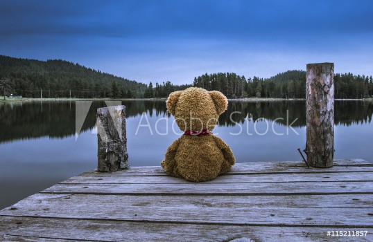Picture of Teddy bear sitting on a pier